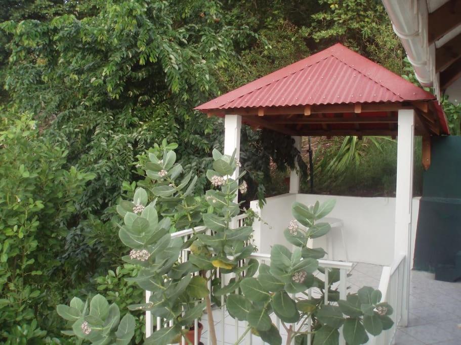 Studio De Charme Au Coeur Du Village, Vue Baie Terre-De-Haut Exteriör bild